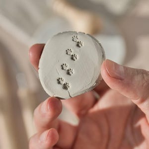 Mini tampon en argile à texture de patte de chat pour décoration en céramique, tampons de poterie, empreintes de pattes d'animaux, outil de fabrication de micro-tampons en argile polymère pour animaux de compagnie