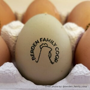 Personalized egg date stamp for egg cartons, chicken egg package date stamp, custom duck egg laid on stamp image 7