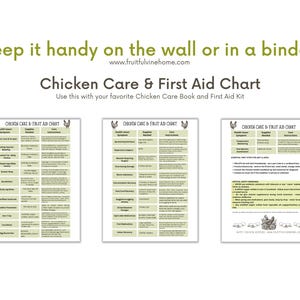 Könnte beinhalten: Eine druckbare "Chicken Care & First Aid Chart" mit drei Informationsspalten. Die Tabelle enthält Gesundheitsprobleme, benötigte Materialien und Pflegeanweisungen. Der Text "Keep it handy on the wall or in a binder!" steht oben.