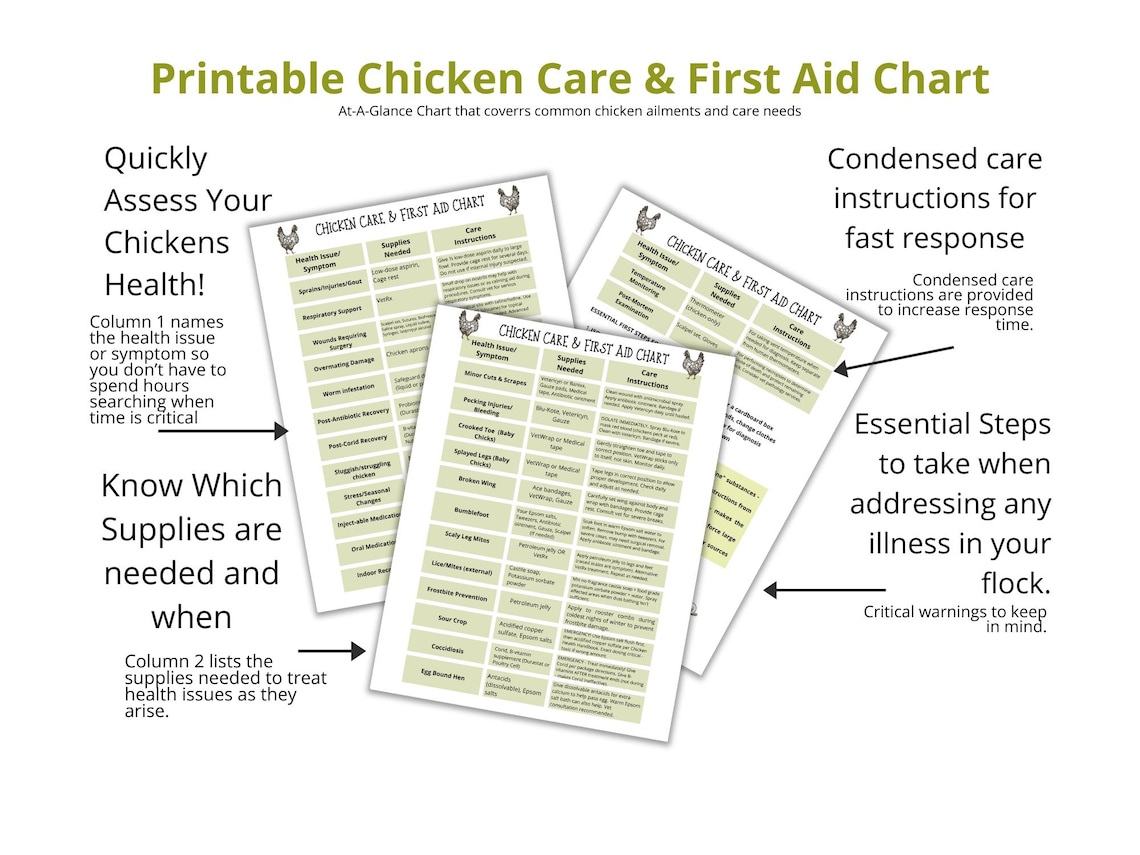 Chicken First Aid Chart Printable: What to Do When Your Chicken is Sick ...