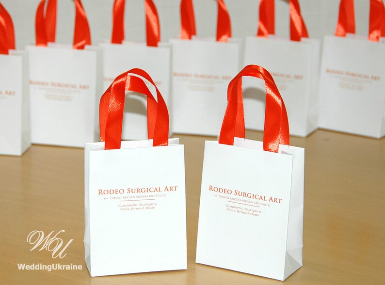 Logo Gift Bags With Orange Satin Ribbon Handles Custom Etsy
