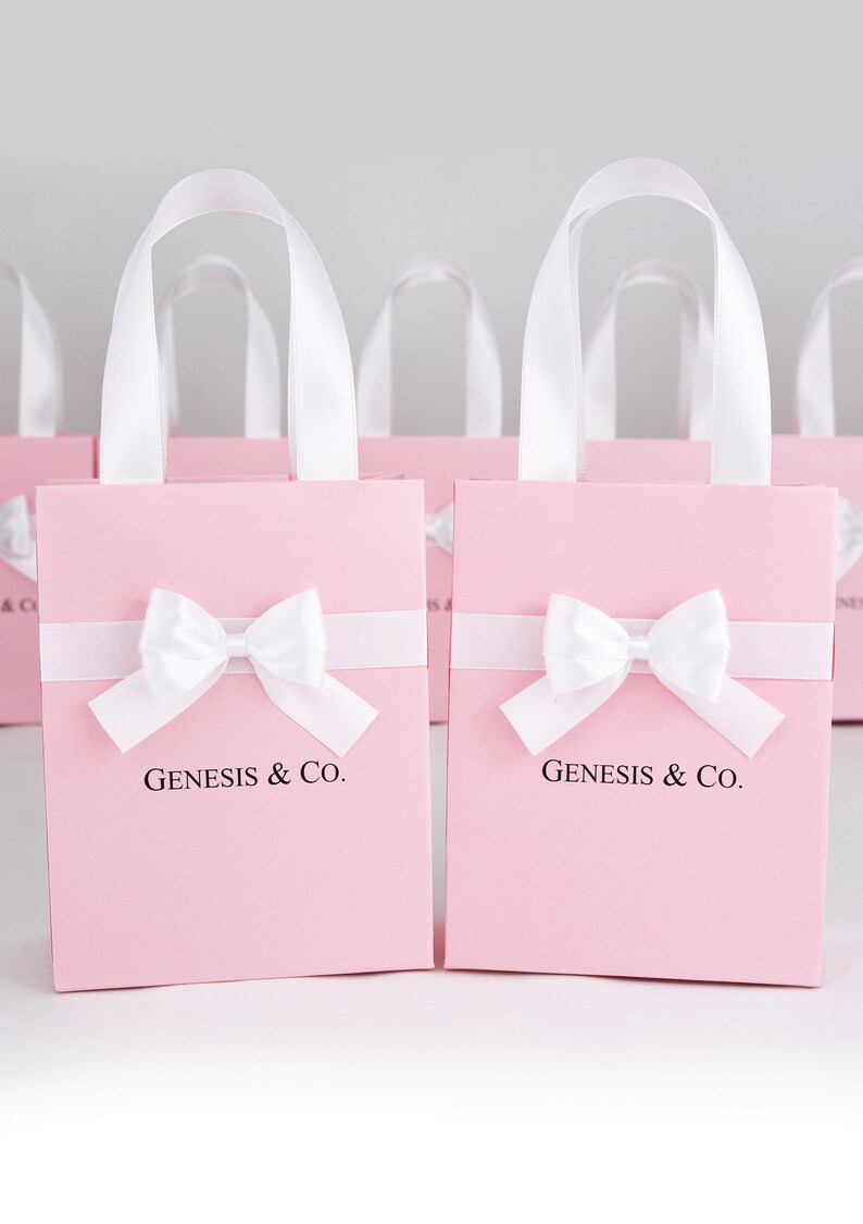 Baby & Co. Gift Bag With Satin Ribbon Handles Bow and Custom Etsy