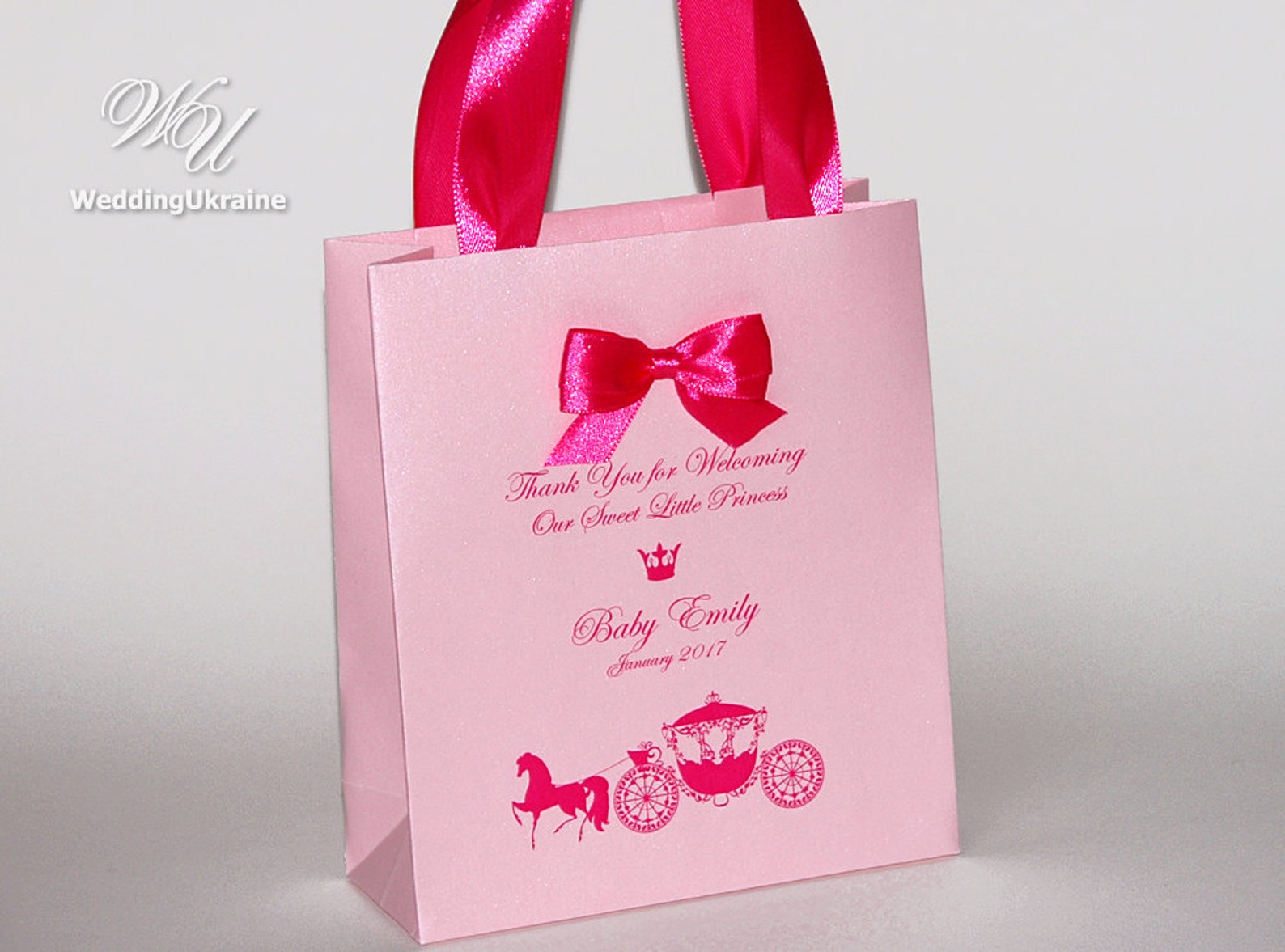 Baby Girl Gift Bags for Guests Thank Your for Our Etsy