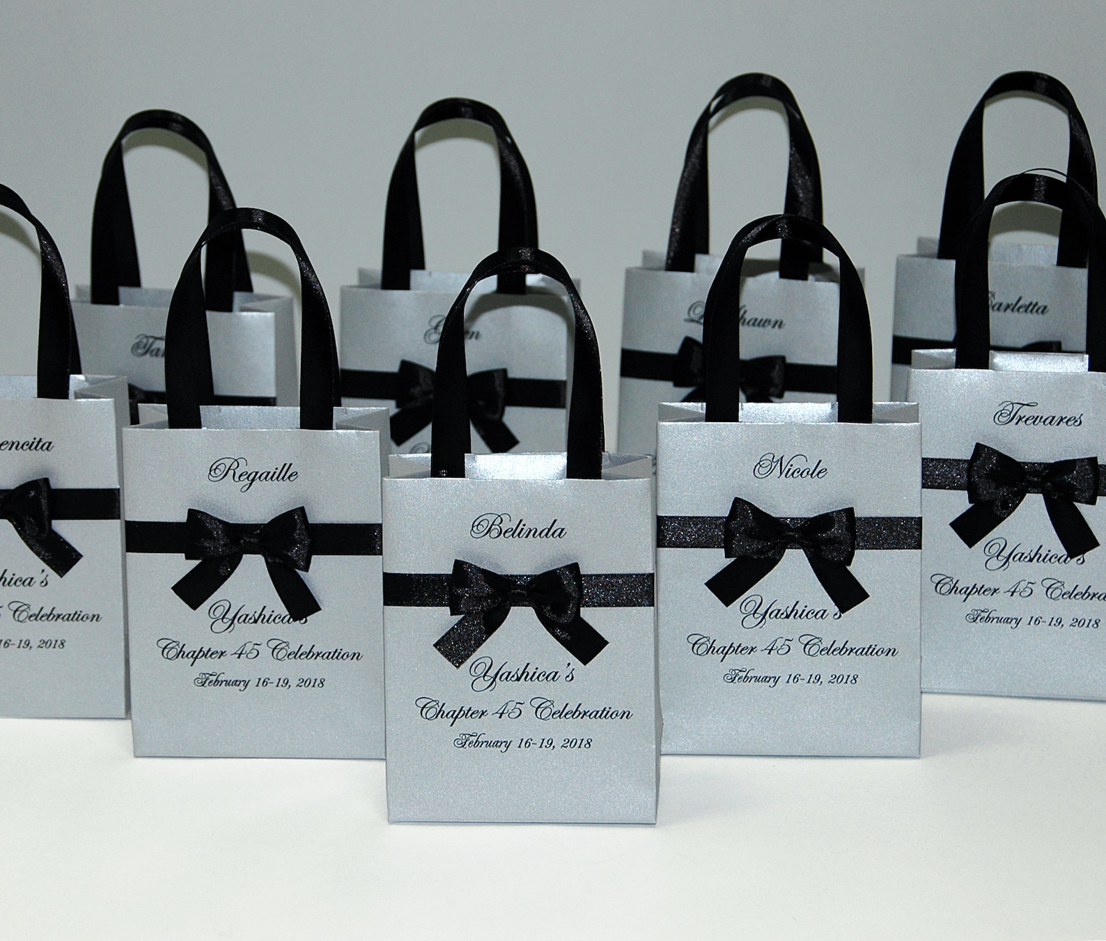 Personalized Birthday Gift Bags for Party Favors for Guests Etsy