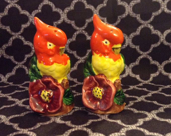 Tropical Parrots Salt and Pepper Shaker Etsy