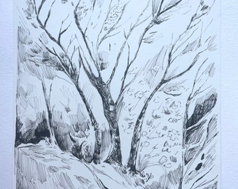 Landscape Drawing  - Micron Pen Drawing - Landscape Art - Original Drawing - Early Autumn Birds in Trees