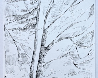 Tree Landscape Drawing - Ink Drawing - Ink Landscape Art - Original Drawing - Trees On A Hike