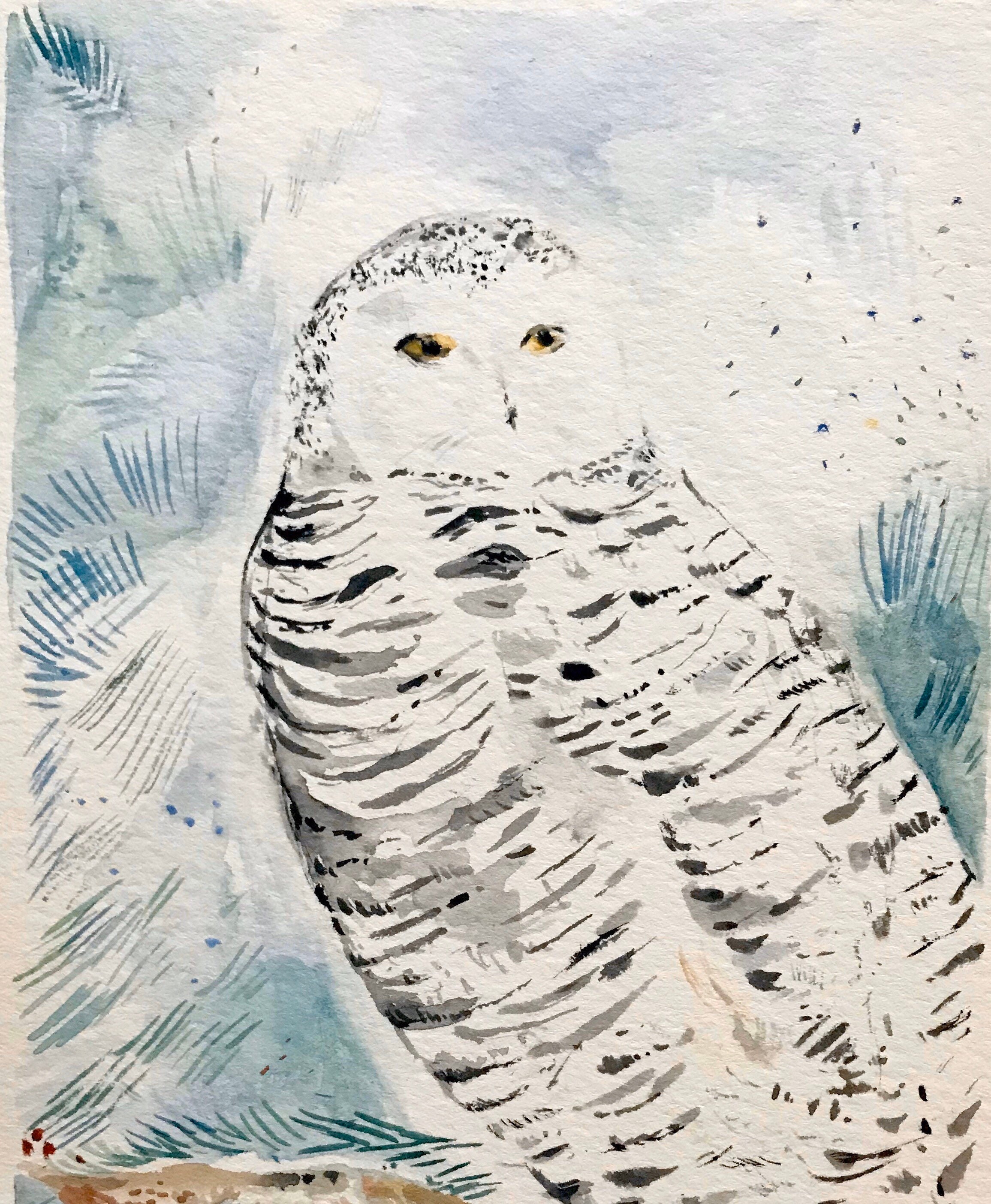 Snowy Owl - Original Art - Snowy Owl Art - Snowy Owl Watercolor - Owl Painting -Snowy Owl Pine Tree