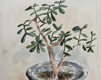 Jade Plant - Plant Watercolor - Original Wall Art - Jade Plant Wall Art - Still Life