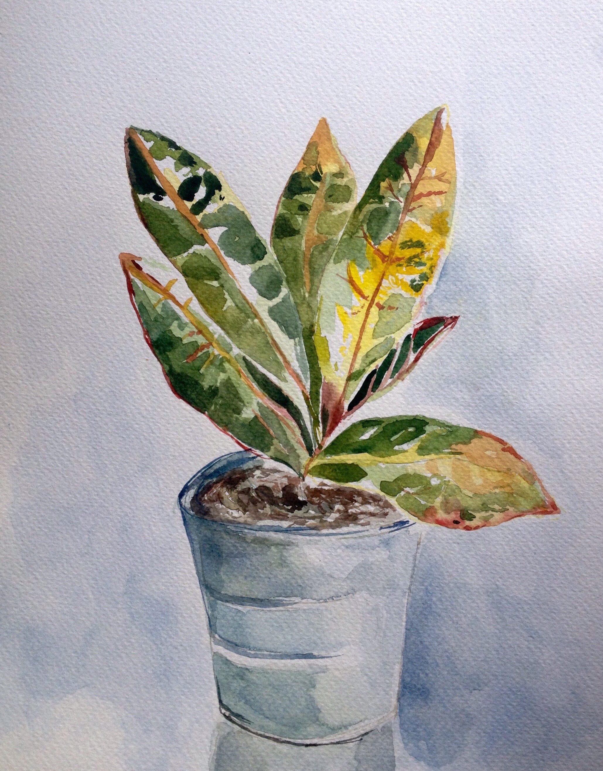 Plant painting outlet