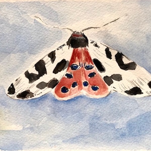 Original Art - Garden Tiger Moth - Moth Painting - Colorful Moth - Oregon Art - Moth Illustration - Tiger Moth