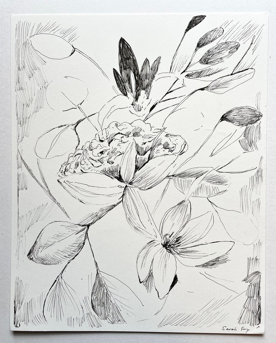 Ink Drawing Original Ink Art Botanical Ink Art Black and White Art