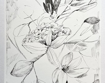 Ink Drawing - Original Ink Art - Botanical Ink Art - Black And White Art - Original Drawing