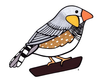 Zebra Finch - Bird Art - Animal Print - Nursery Art- Wall Decor - Gift - Nature Art - Baby Shower - House Warming - Home Decor