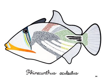 Triggerfish Print - Hawaii Print - Fish Art - Ocean Decor - Coral Reef - Animal Art - Tropical fish - Nursery - Scientific Name - Kid's Room