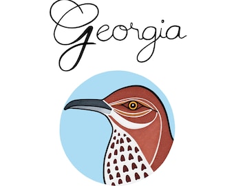 Georgia State Bird - Atlanta - Home Decor - Cute - Bird Art - Nursery - Kids Room - Baby Shower - Animal Art - Birds - Brown Thrasher