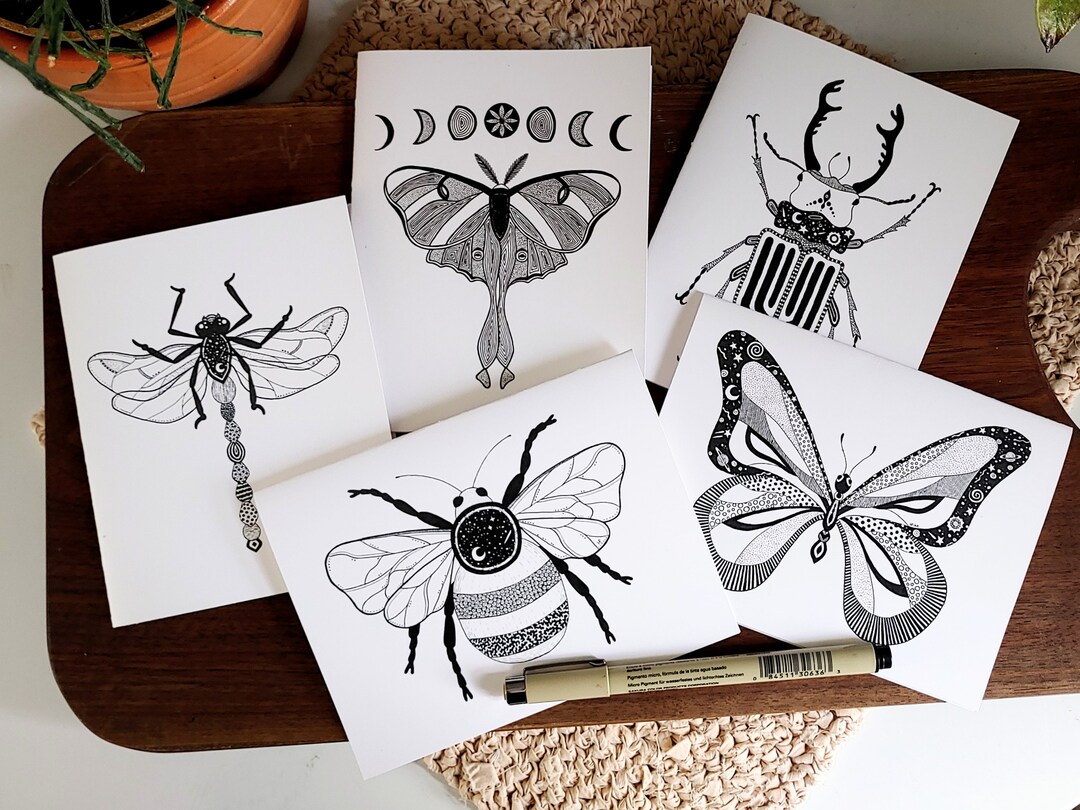 5 PACK INSECT SPECIAL, Pen and Ink, Black and White, Zentangle, Blank ...