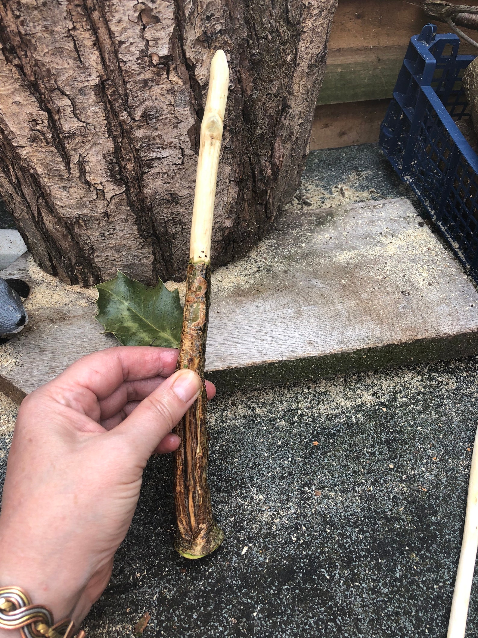 Varitas de madera de acebo Protección