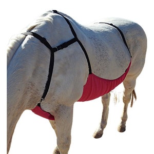 HORSE BELLY FLY Protection Pony Fly Net Horse Fly Net Horse Belly Cover Horse Fly Cover Horse Belly Veil Pony Belly Cover Fly Protection