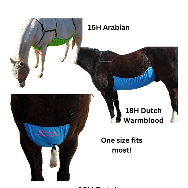 HORSE BELLY FLY Protection Pony Fly Net Horse Fly Net Horse Belly Cover Horse Fly Cover Horse Belly Veil Pony Belly Cover Fly Protection