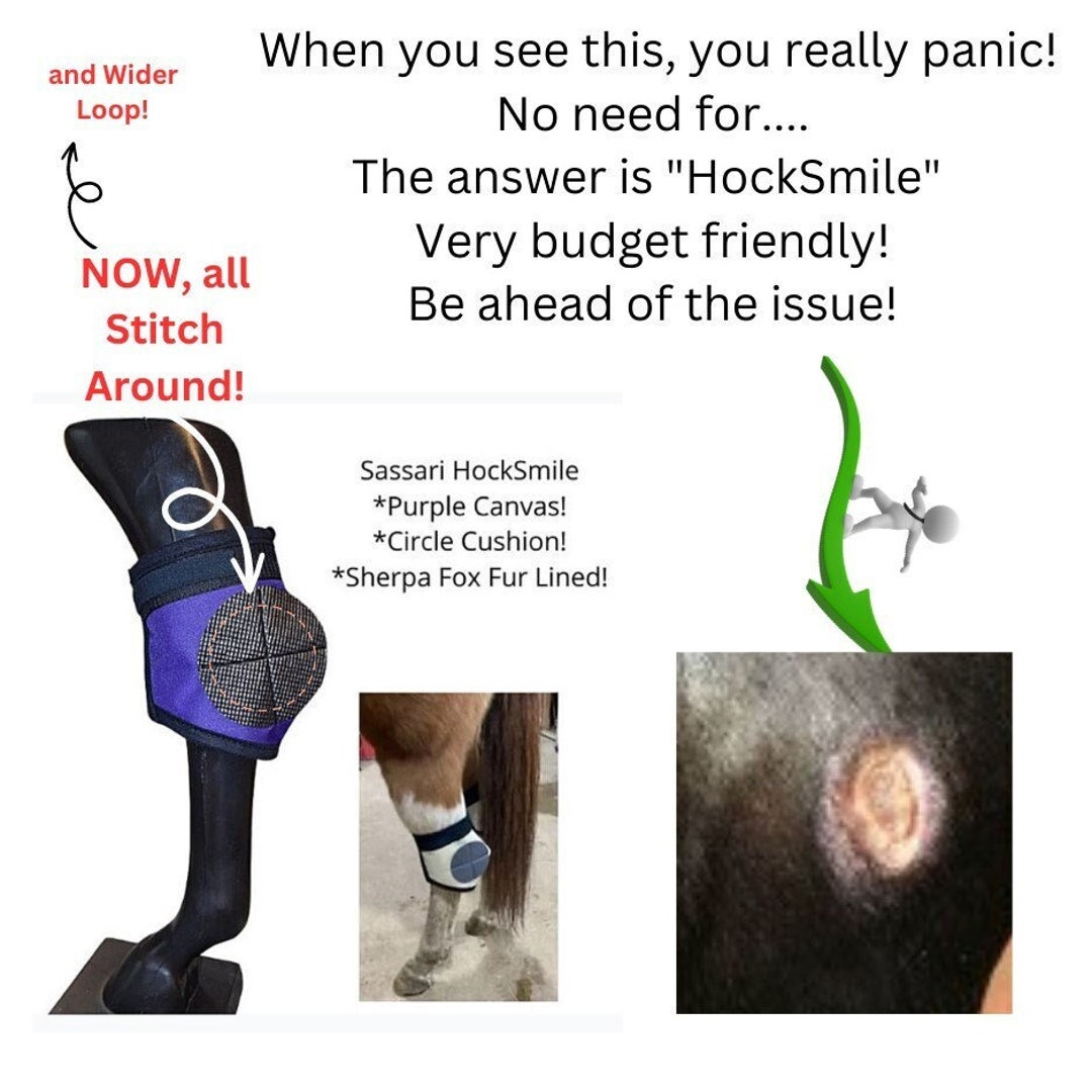 HORSE HOCK PROTECTION for Horse and Donkey to Protect Hock Sores