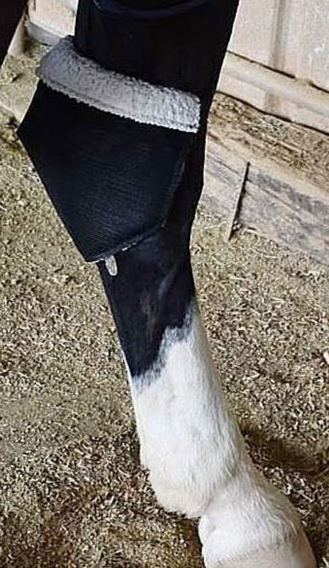 HockSmile Hock Sore Bed Sore Horse Hock Sore Equine Hock Etsy