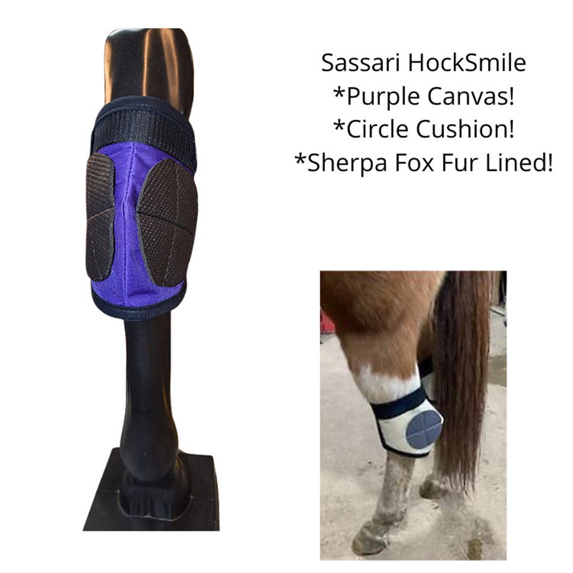 Hock Sore Horse Hock Bed Sores Sore Hocks in Horses Hock Etsy