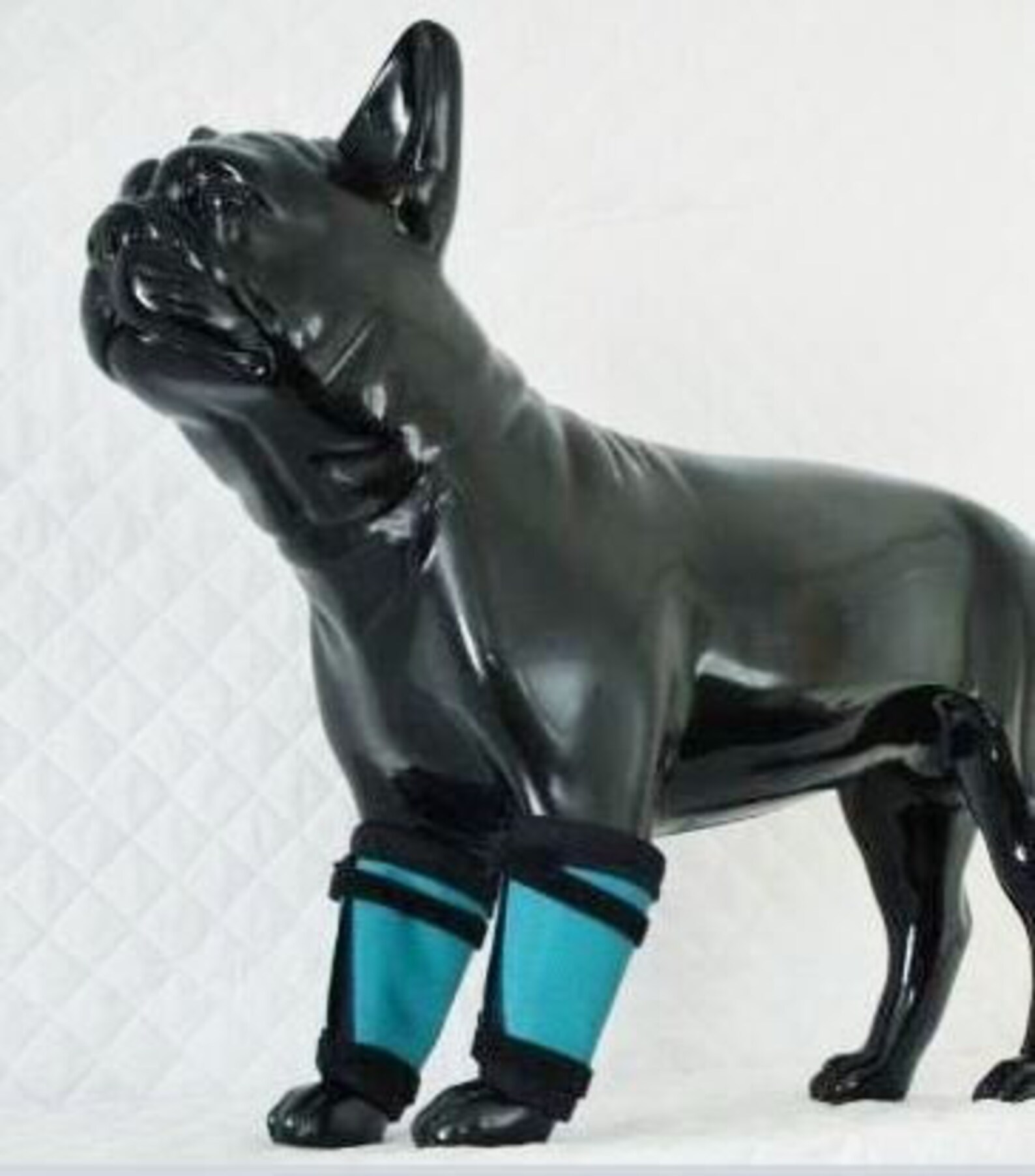 Dog Leggings Leggings for dogs Hind leg protection for Dogs Etsy