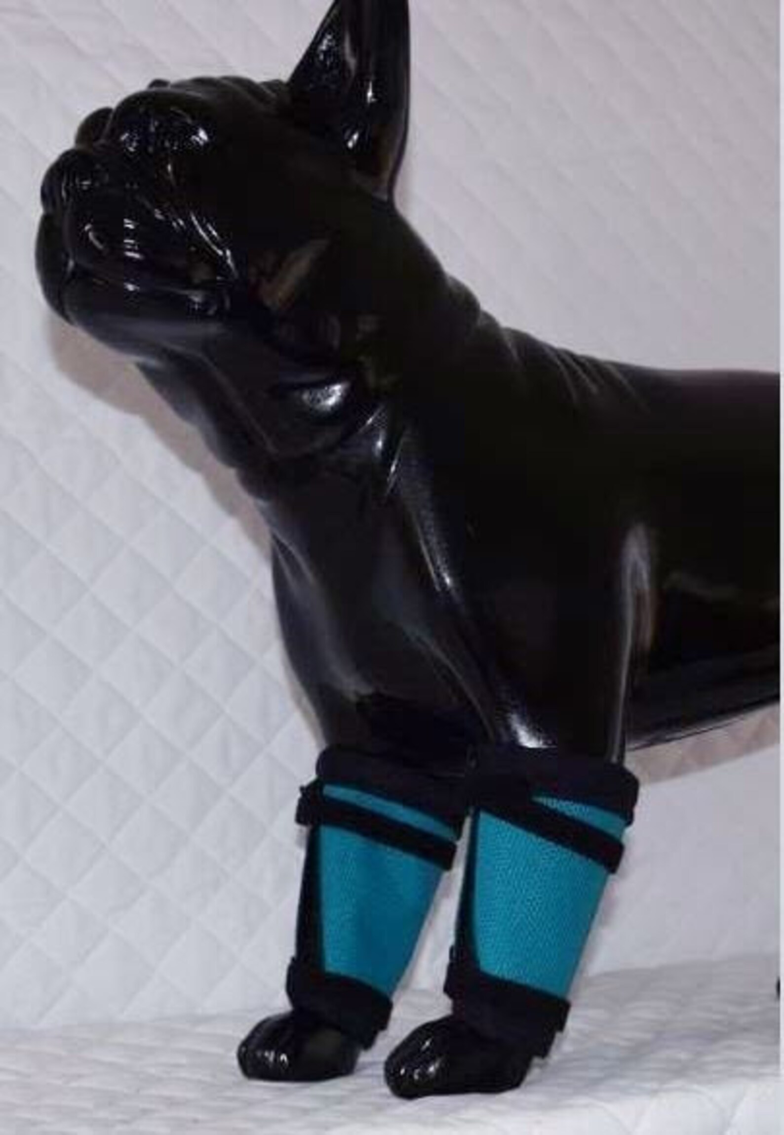 Dog Leggings Leggings for dogs Hind leg protection for Dogs Etsy