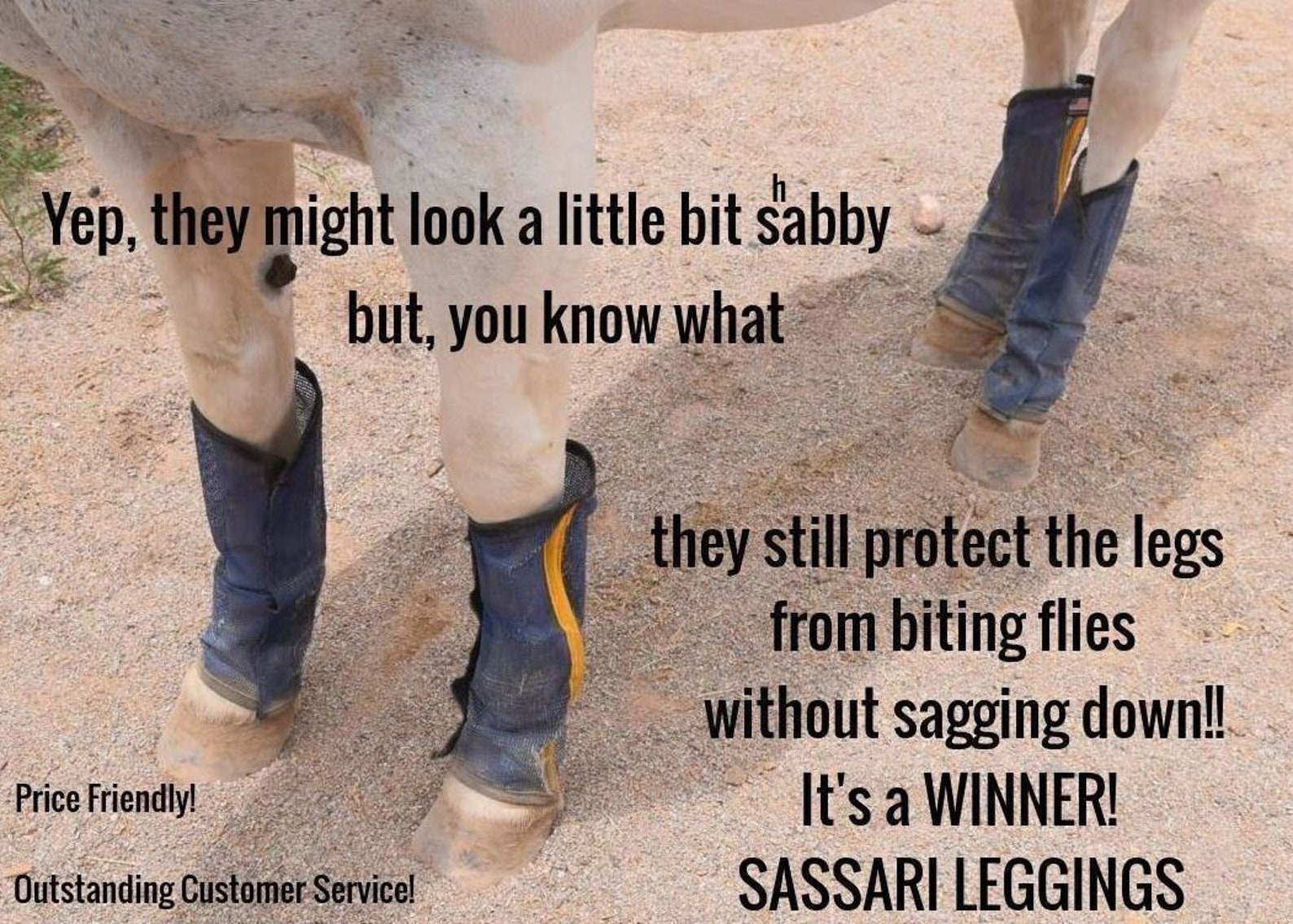 Horse Fly Boots Fly Leggings Fetlock Protection Wound Etsy