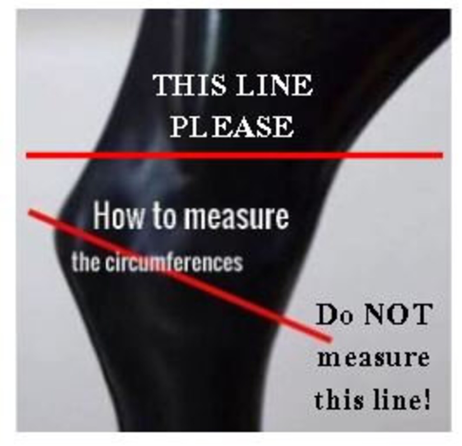 Hock Sore Horse Hock Bed Sores Sore Hocks in Horses Hock Etsy