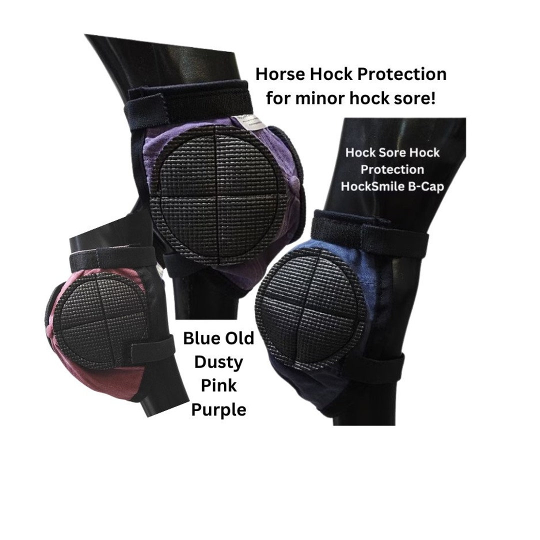 HORSE SORE HOCK Protection Hock Wounds Horses Donkeys Hock Bedsore