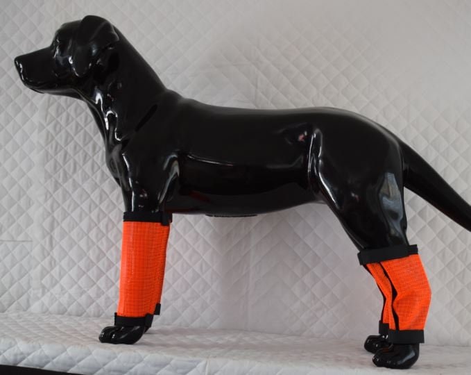 Dog Leggings Dog Hock Protection Hock Protection for Dogs Etsy