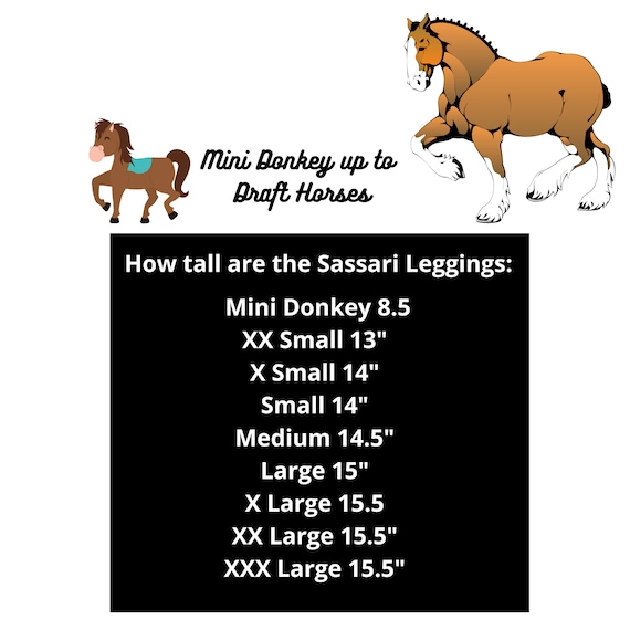 Draft horse hotsell fly boots