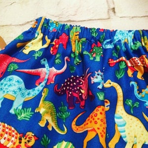 Girls Dinosaur Skirt Multicoloured Rainbow Dino Roar Rawr Fashion Baby Toddler Infant Kids Child Teen Adult Fashion Dinosaur Birthday Party image 6