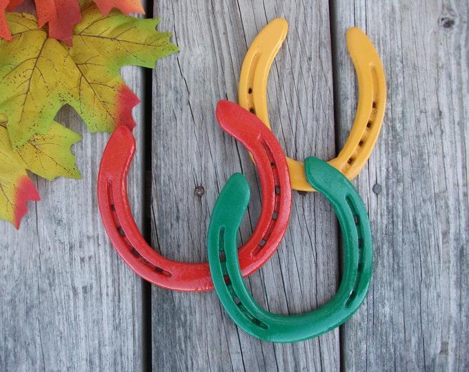 Fall Horseshoe decoration, Painted horseshoes fall colors, Outdoor Rustic Horseshoe Home or barn decor, Lucky horseshoe, Women's horse gift