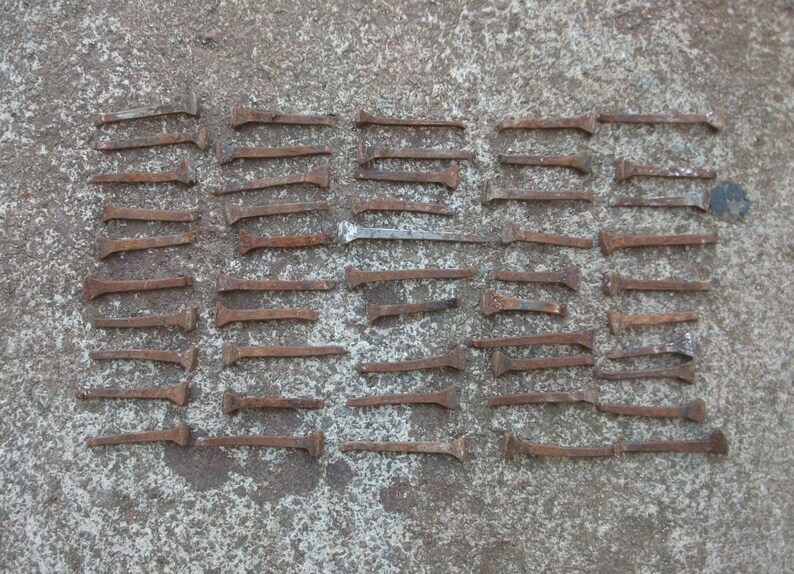 Horseshoe Nail, Used Nails, Craft Horse Project, Rustic Horse Shoe