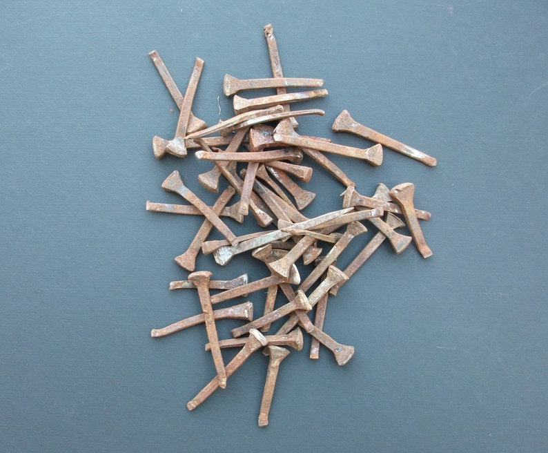 Horseshoe Nail, Used Nails, Craft Horse Project, Rustic Horse Shoe Nails Crafts, Nails for