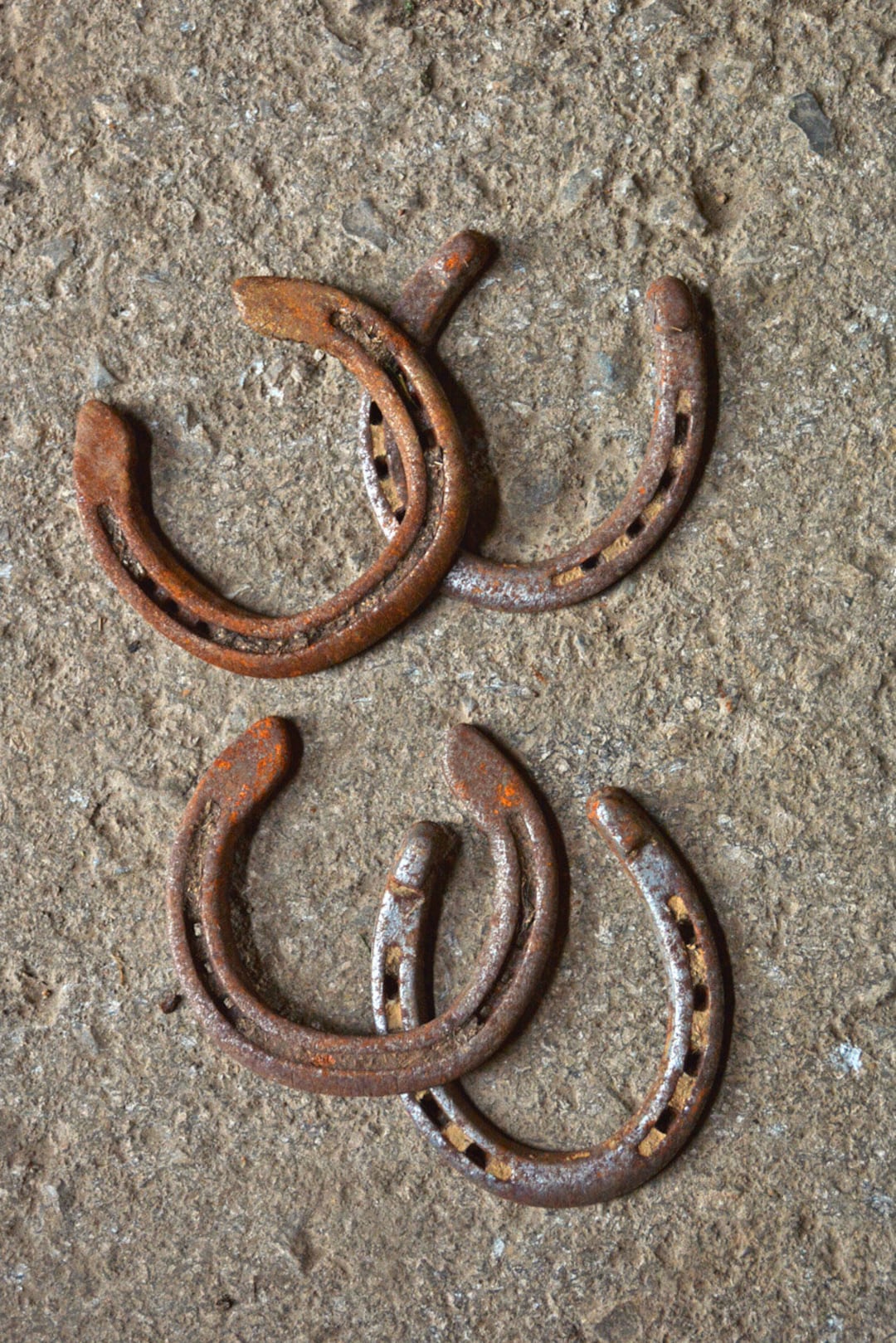 Crafts Using Horseshoes