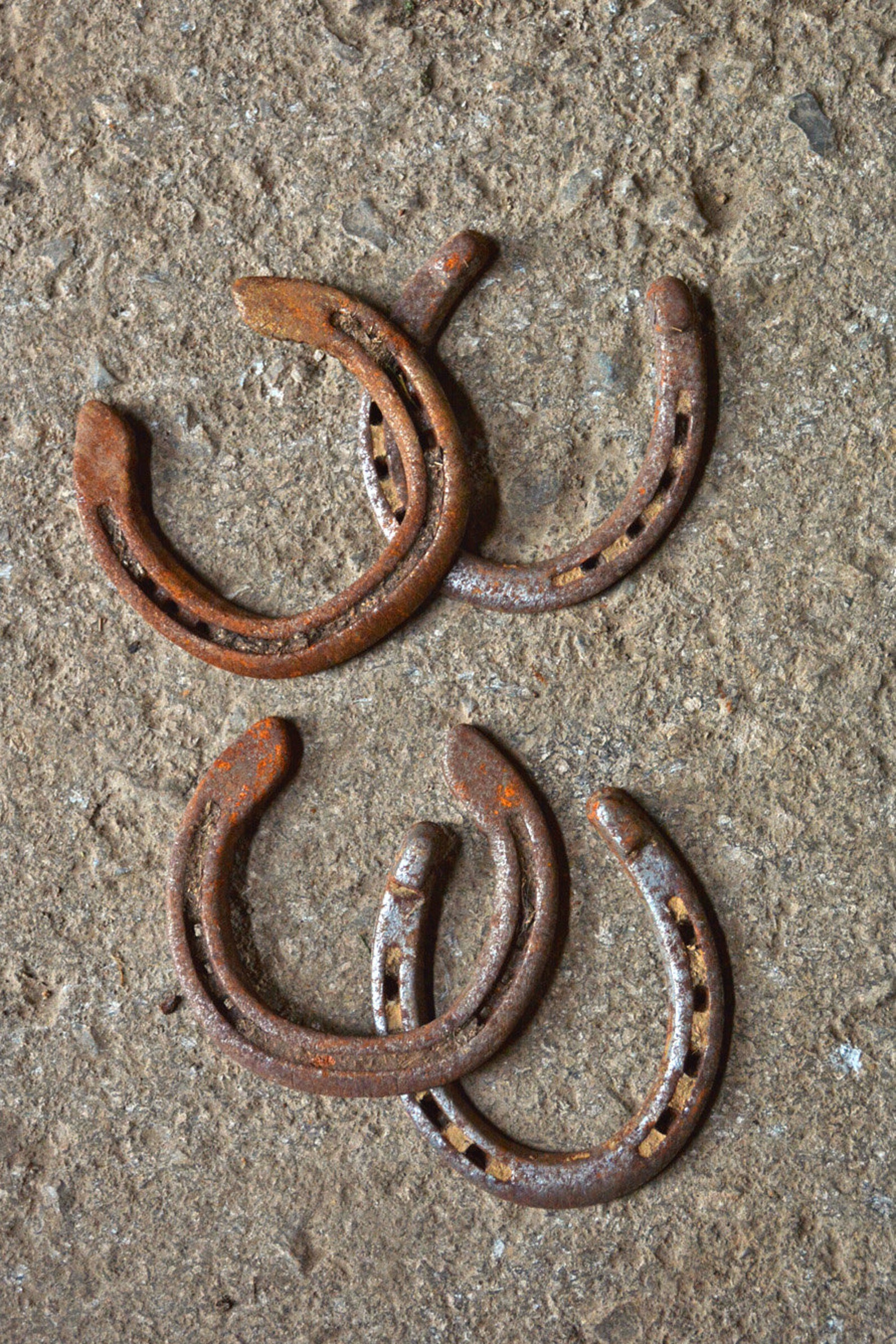Used Horseshoes Set of 4 Real Horseshoes DIY Craft Etsy
