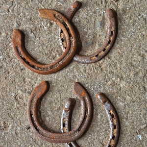 Set of 4 Rustic Used Horseshoes: Lucky Cowboy Decor