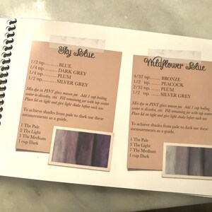 Puede incluir: Una p&aacute;gina de libro con encuadernaci&oacute;n en espiral que muestra dos tarjetas de recetas de tinte tituladas Sky Blue y Wildflower Blue. Cada tarjeta enumera medidas espec&iacute;ficas para tintes, instrucciones de mezcla para un frasco y gu&iacute;as de tonos.