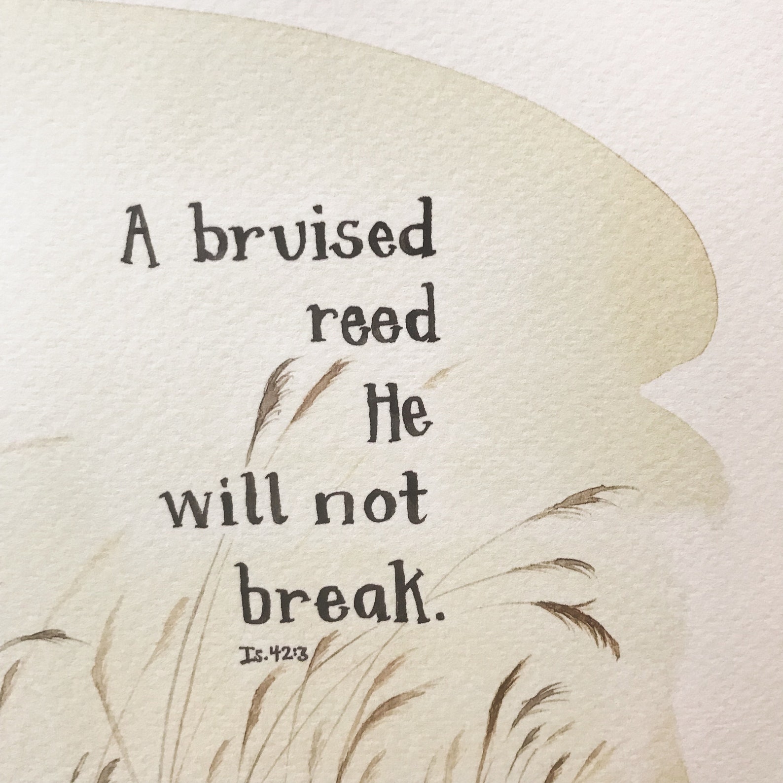 A Bruised Reed Giclee Watercolor Print Scripture Encouragement Sympathy ...