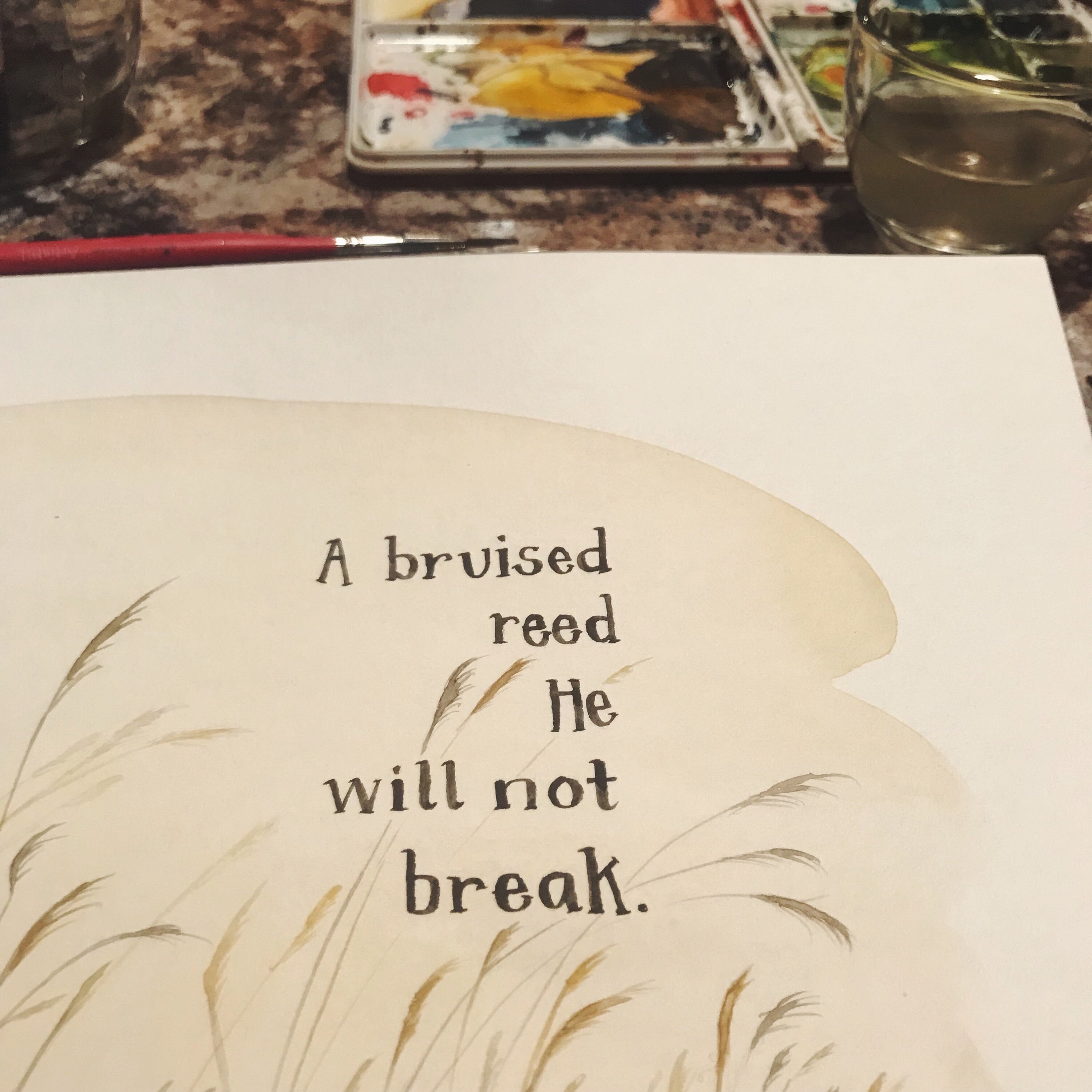 A Bruised Reed Giclee Watercolor Print Scripture Encouragement Sympathy ...