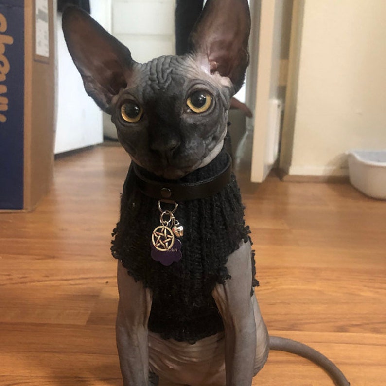 triquetra cat collar