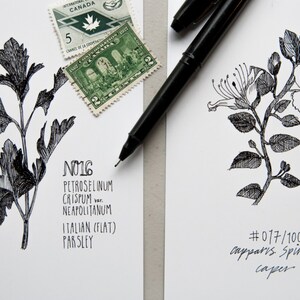 Jeu de cartes postales – Fines herbes