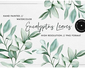 Watercolor Eucalyptus Clipart - Instant Download, Watercolor Clipart ...