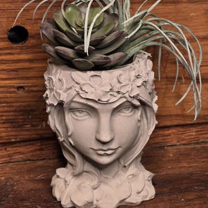 May include: A gray concrete planter shaped like a woman's head with a floral crown and long hair. The planter is filled with a green succulent plant.