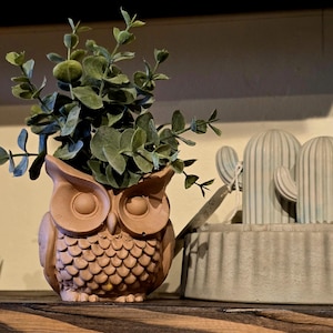 Owl concrete container, Plant concrete Container, Succulent Concrete container, Pen & Pencil concrete container.