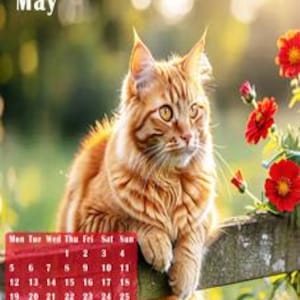 Cats Calendar 2025 - DOWNLOAD - Printable A4